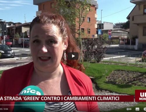 Una strada green contro i cambiamenti climatici